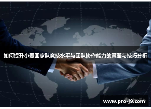 如何提升小麦国家队竞技水平与团队协作能力的策略与技巧分析