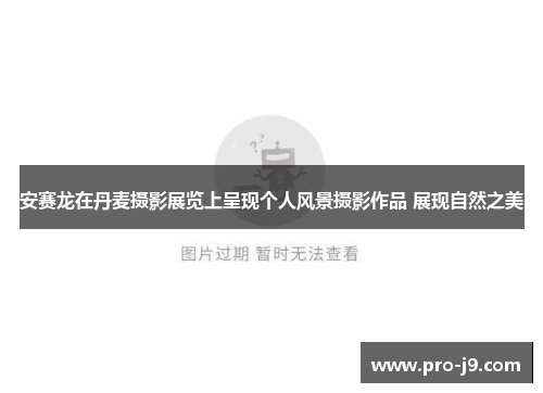 安赛龙在丹麦摄影展览上呈现个人风景摄影作品 展现自然之美