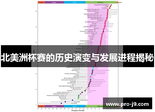 北美洲杯赛的历史演变与发展进程揭秘
