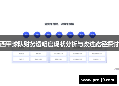 西甲球队财务透明度现状分析与改进路径探讨