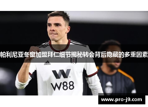 帕利尼亚冬窗加盟拜仁细节揭秘转会背后隐藏的多重因素 帕利尼亚冬窗加盟拜仁细节揭秘转会背后隐藏的多重因素