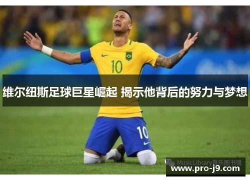 维尔纽斯足球巨星崛起 揭示他背后的努力与梦想