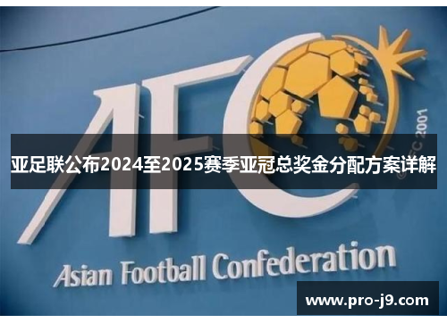 亚足联公布2024至2025赛季亚冠总奖金分配方案详解